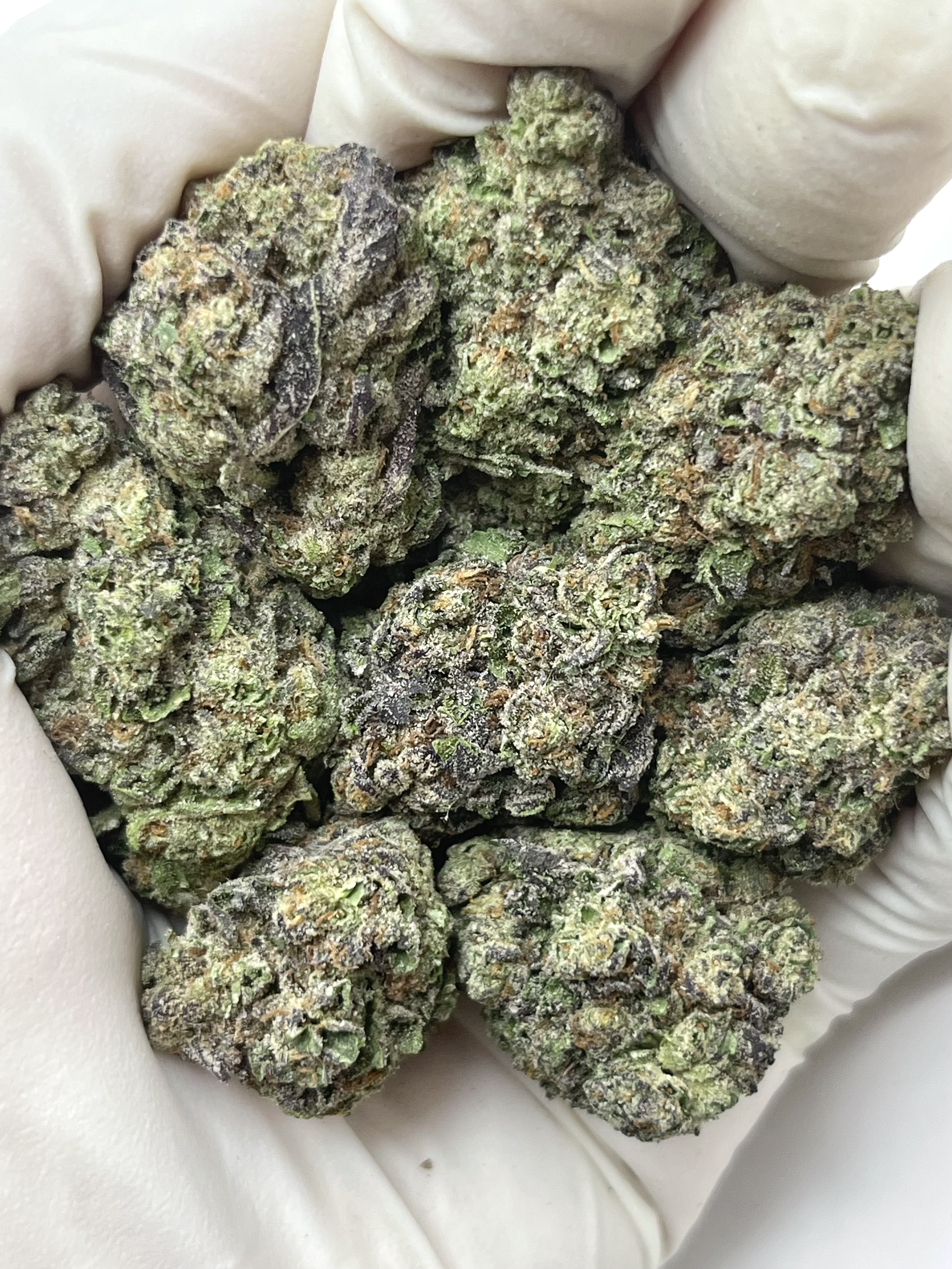 Gelato Ice