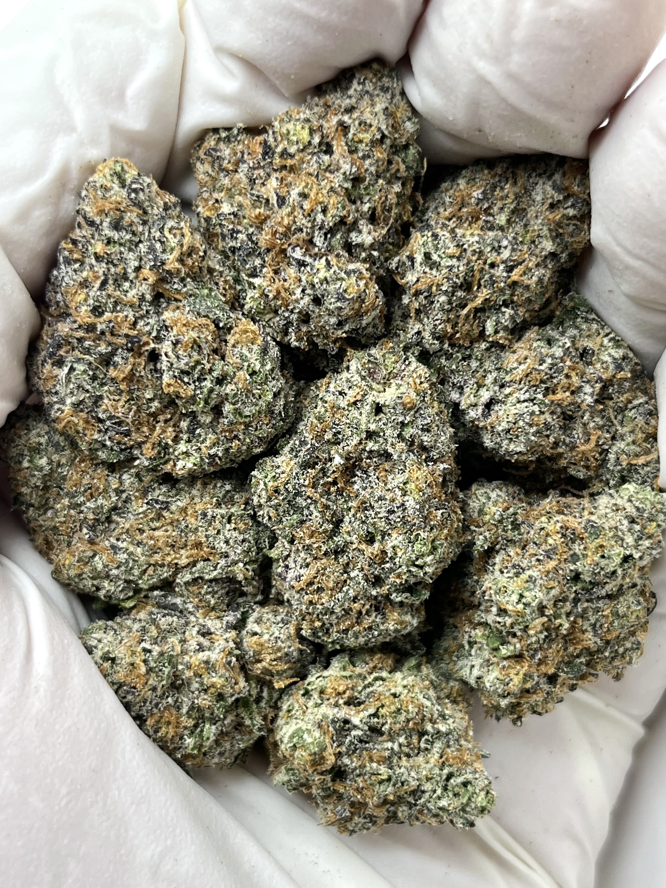 Biscotti
