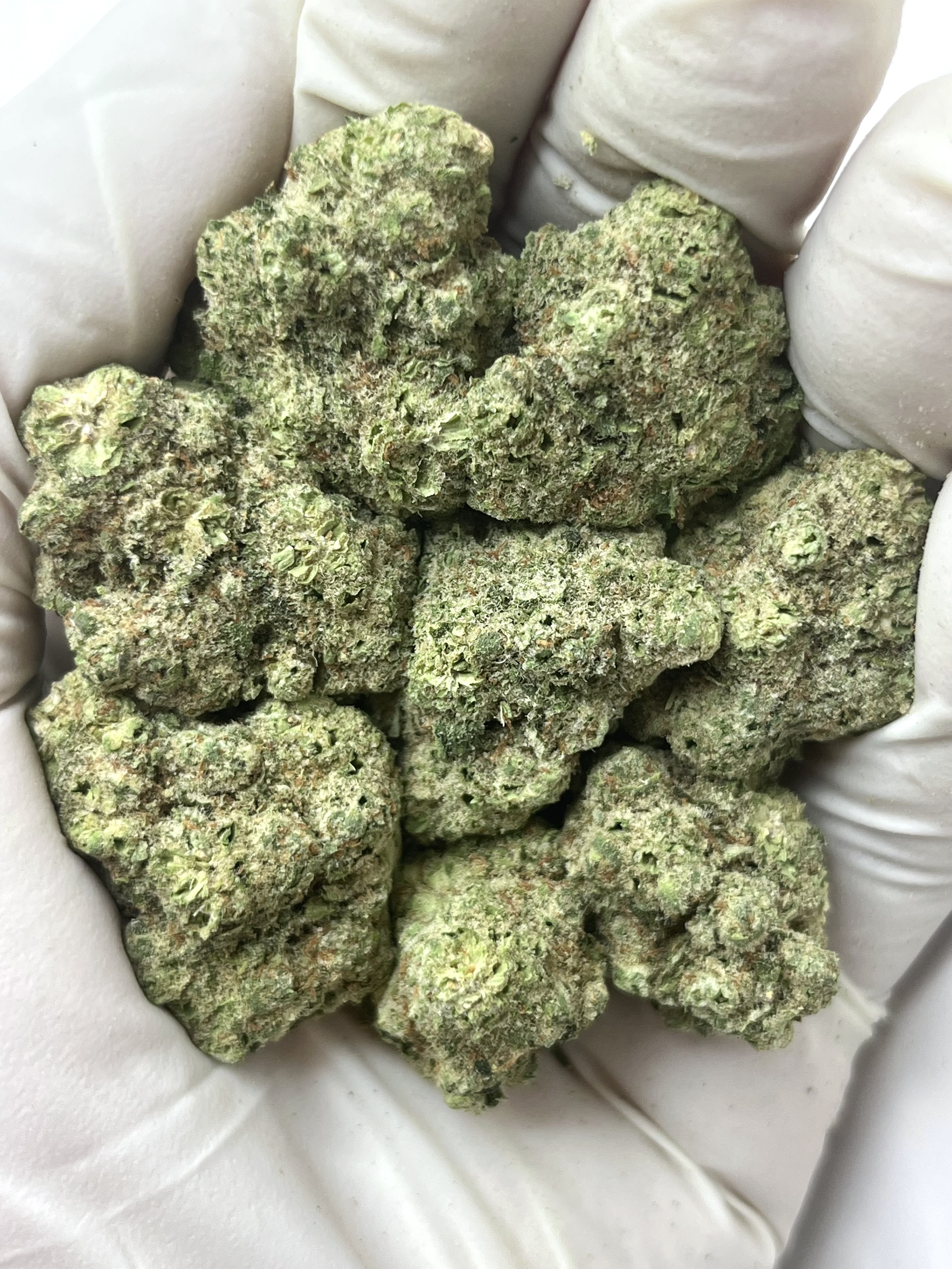 Papaya Bomb