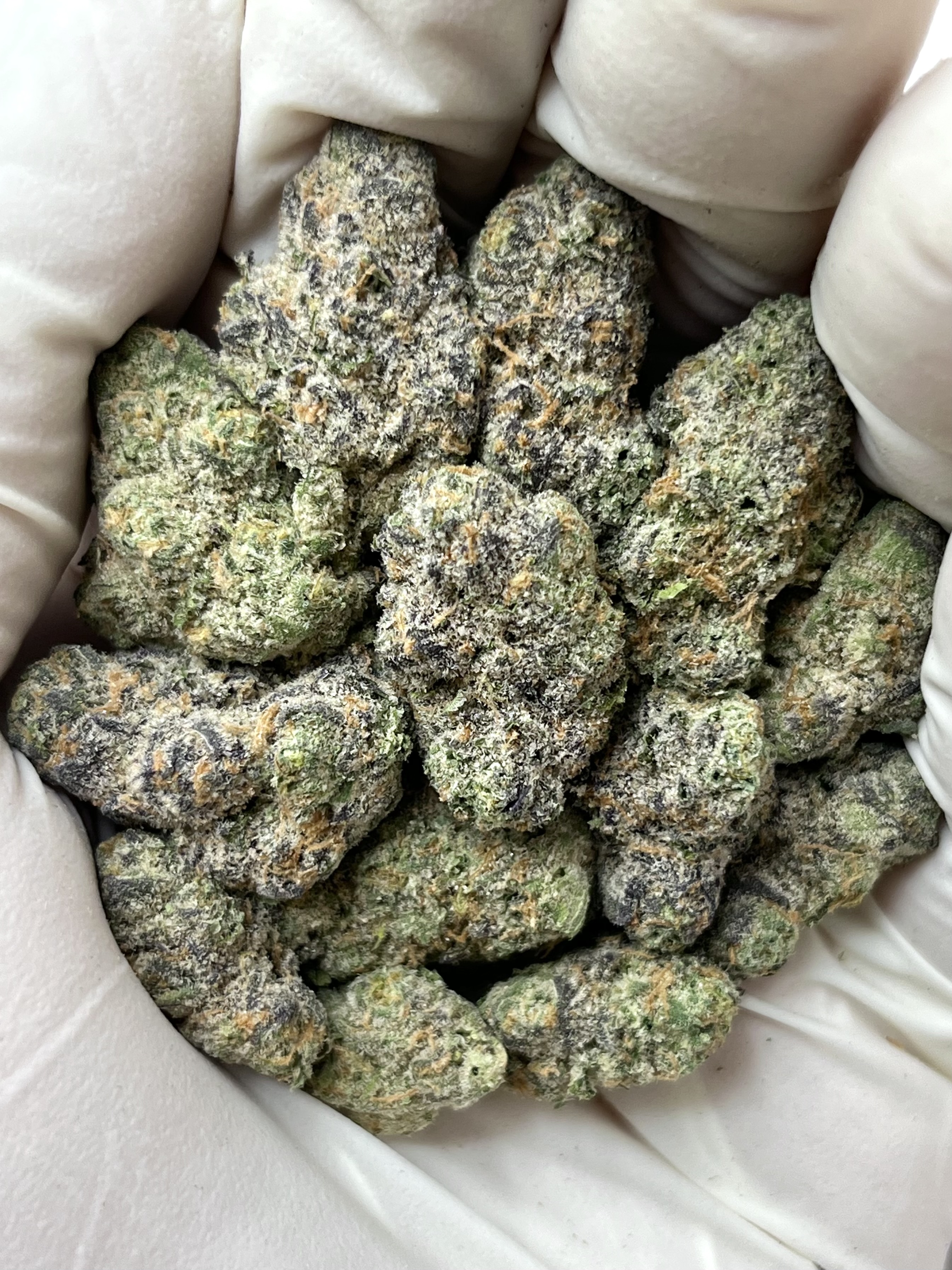 Blueberry Bars