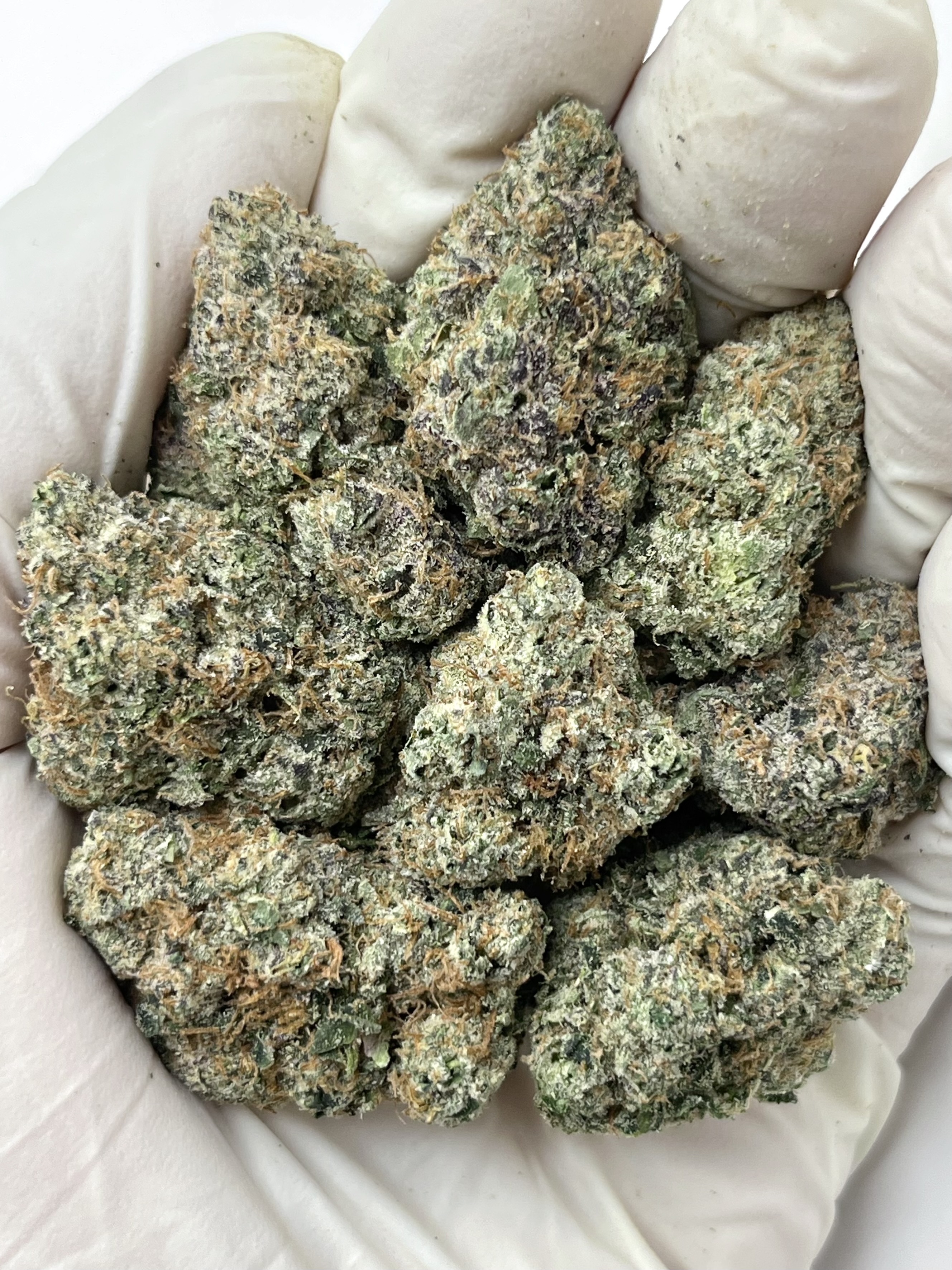Cherry Wild